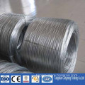 professional supplying electro galvanized wire full sizes